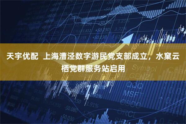 天宇优配  上海漕泾数字游民党支部成立，水窠云栖党群服务站启用